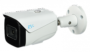 Видеокамера IP RVi-1NCT5338 (6) white  купольная уличная
