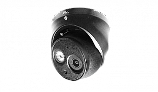 Камера RVi-1ACE102A (2.8)  black