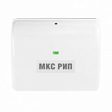 МКС РИП